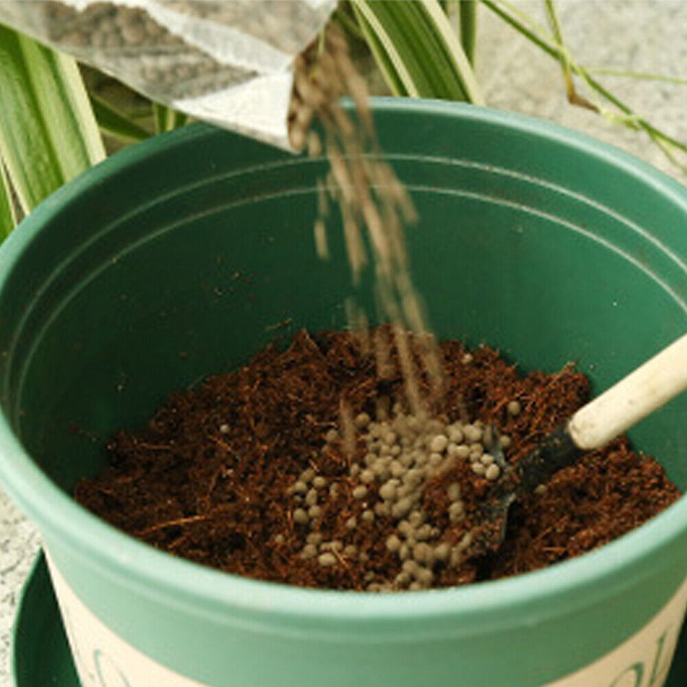 US 2-4Pc 650G Coco Coir Bricks Coconut Fiber Organic Soil Plant Growing Media