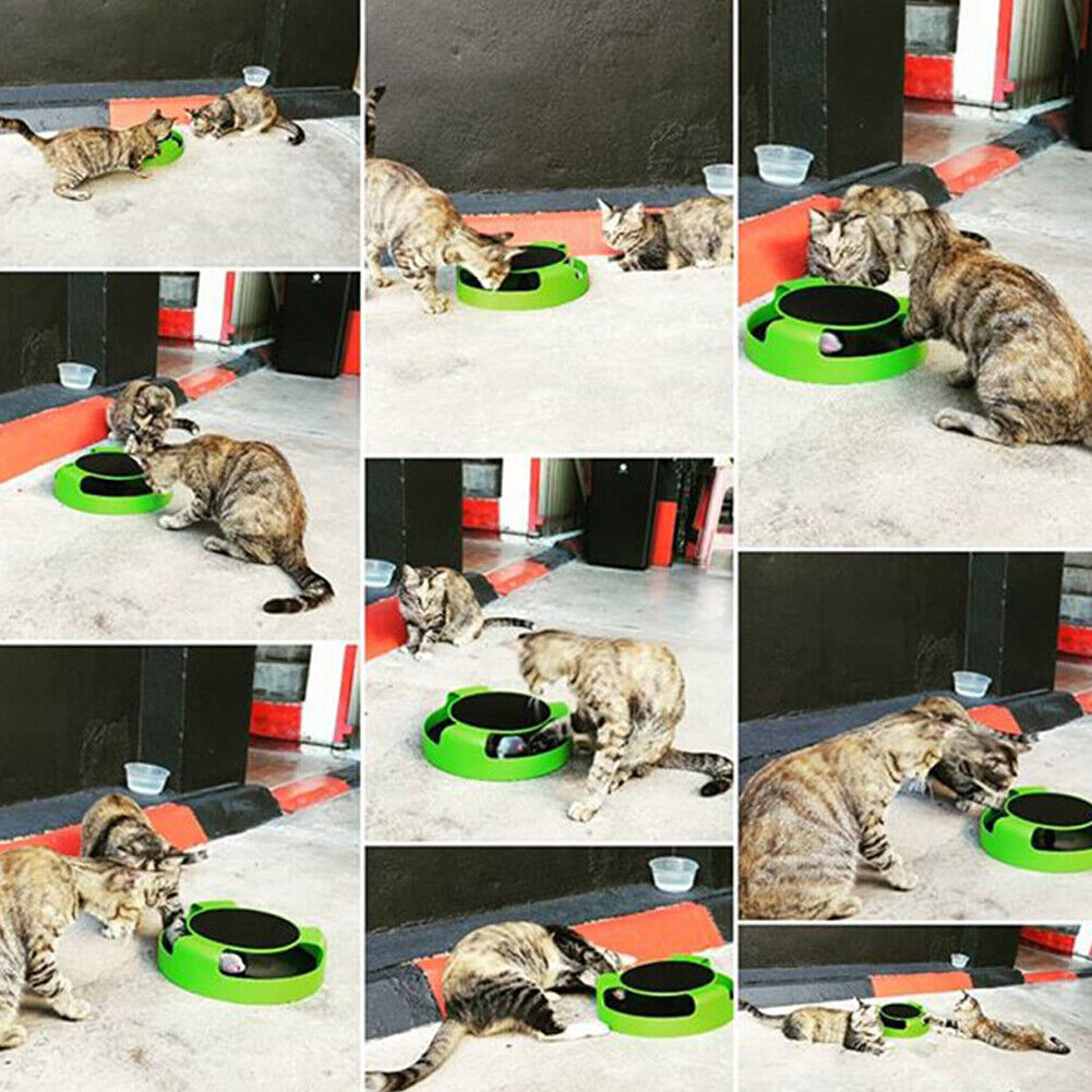US 1-2 Pack Interactive Toys Cats Mouse Moving Round Scratch Pad Pet Fun Kitten