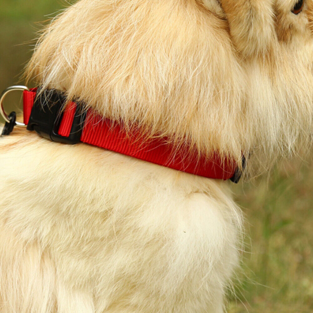 US 4-8 Pack Dog Pet Adjustable Nylon Collar Small Medium L XL With Buckle Puppy