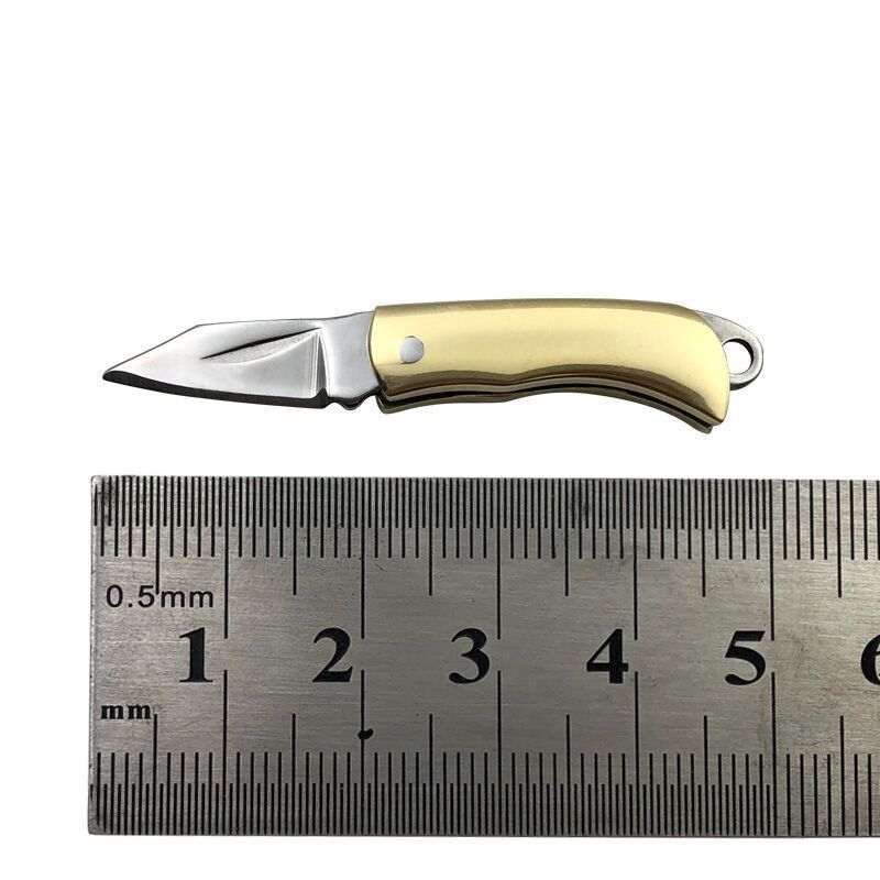 US 2-4 Pcs Mini Keychain Folding Lightweight Pocket Knife Everyday Carry Outdoor