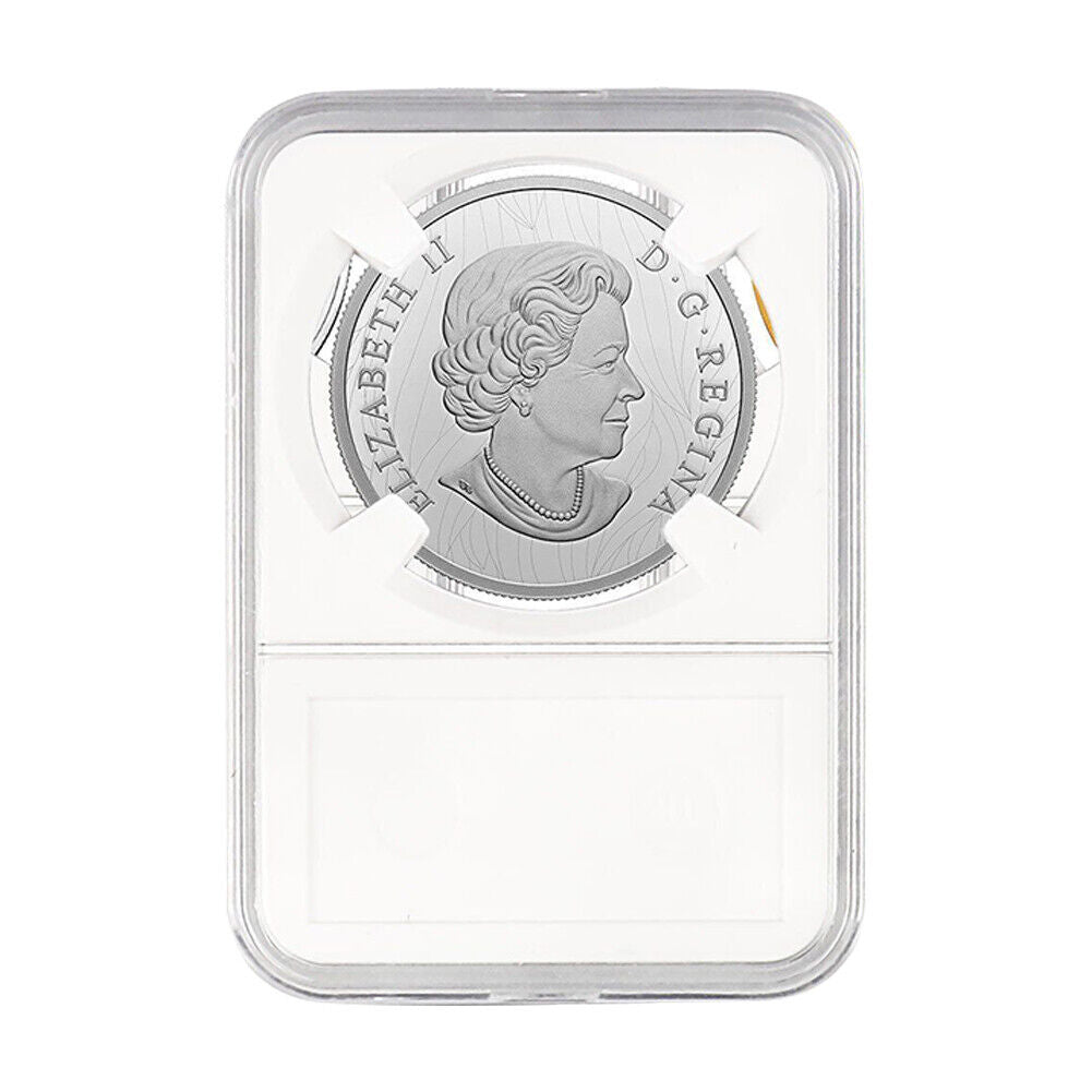 US 20-40 Pcs Coin Slab Display Holder Storage 40mm for AMERICAN SILVER EAGLE 1oz