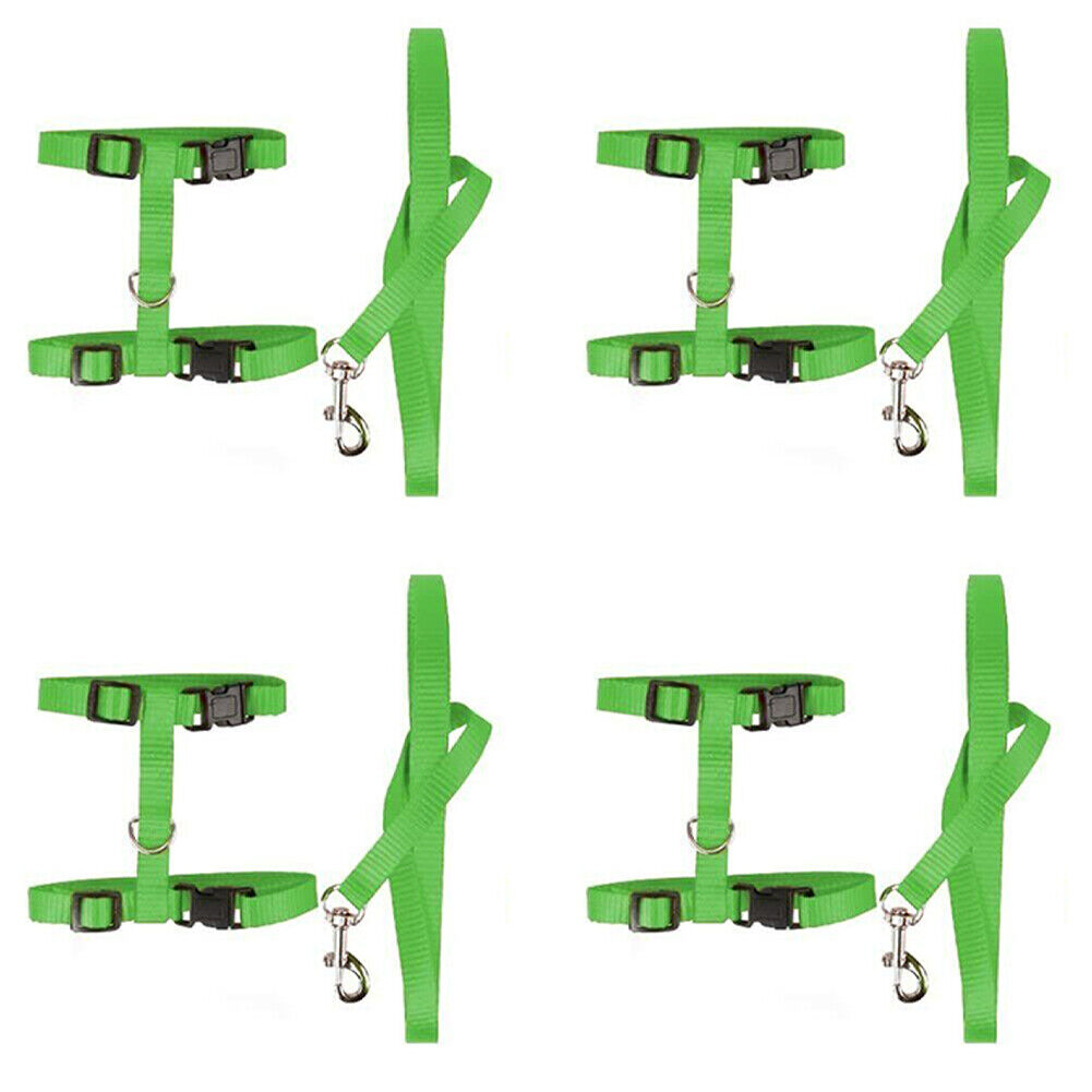 US 2-4Pc Adjustable Cat Halter Harness Nylon Strap Collar Leash Belt Safety Fine