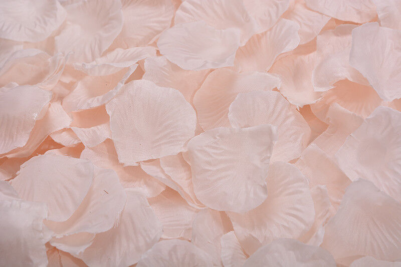 1000~5000pcs Various Colors Silk Flower Rose Petals Wedding Party Decorations