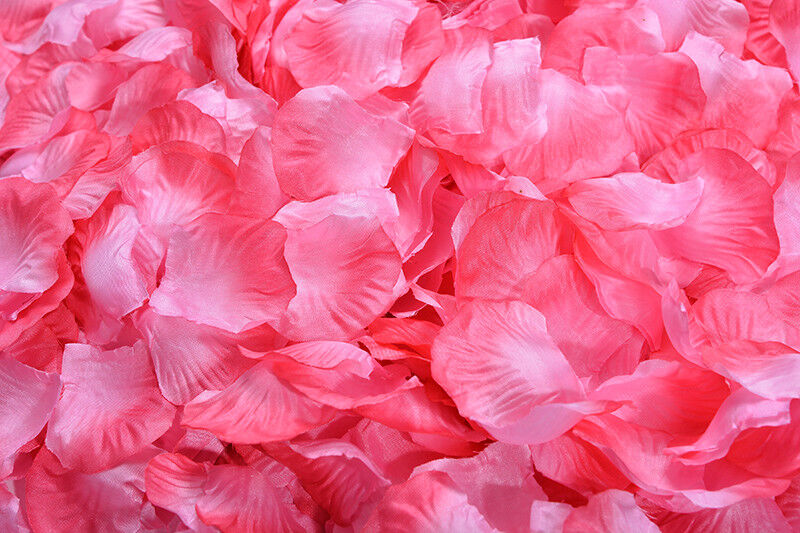 1000~5000pcs Various Colors Silk Flower Rose Petals Wedding Party Decorations