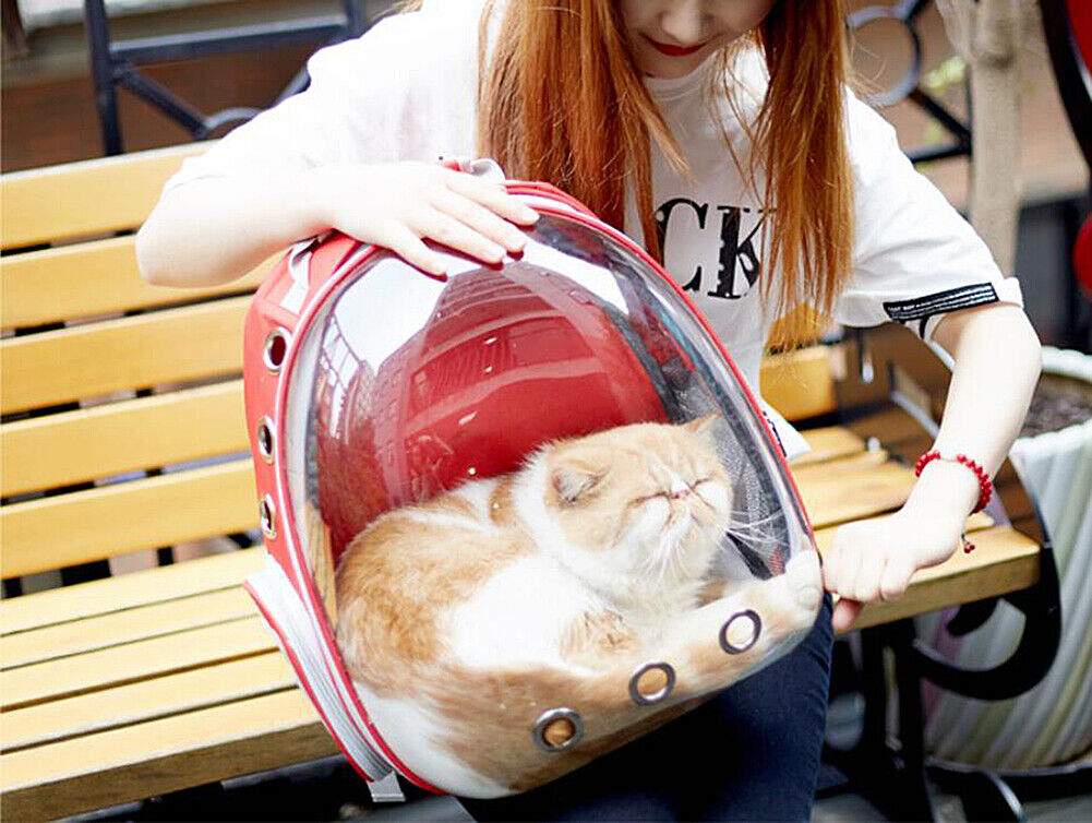 US Astronaut Pet Cat Dog Puppy Carrier Backpack Travel Bag Case Capsule Fullview