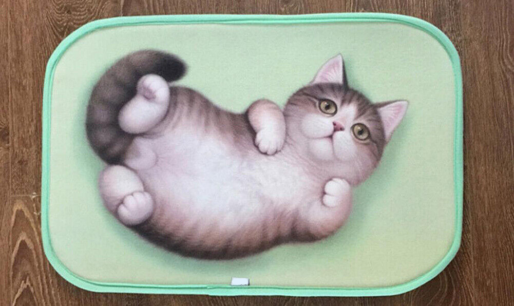 US Cat Dog Non-Slip 3D Doormat Kitchen Bathmat Bedrooms Patio Stair Carpet Mat
