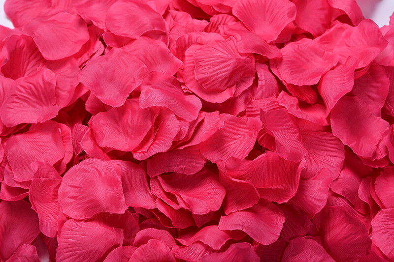 1000~5000pcs Various Colors Silk Flower Rose Petals Wedding Party Decorations