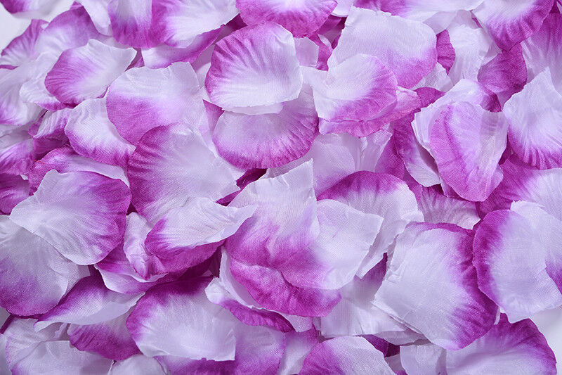 1000~5000pcs Various Colors Silk Flower Rose Petals Wedding Party Decorations