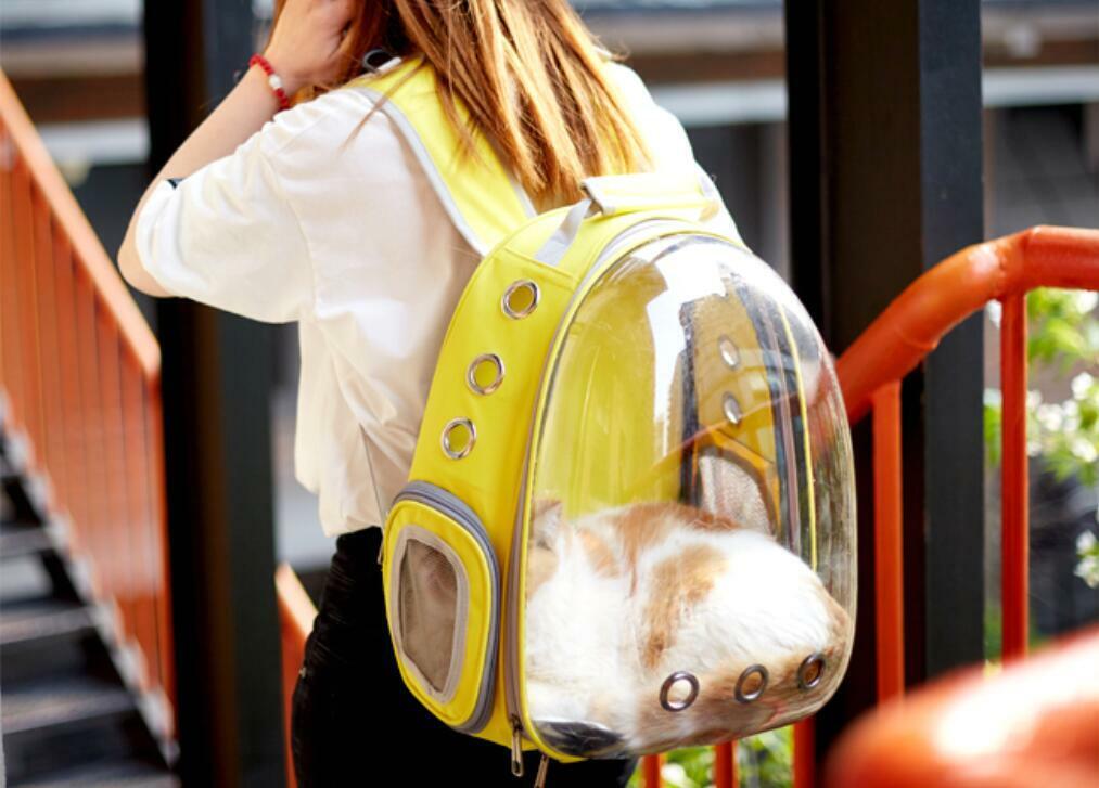 US Astronaut Pet Cat Dog Puppy Carrier Backpack Travel Bag Case Capsule Fullview