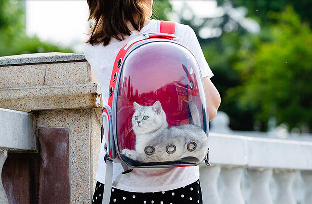 US Astronaut Pet Cat Dog Puppy Carrier Backpack Travel Bag Case Capsule Fullview