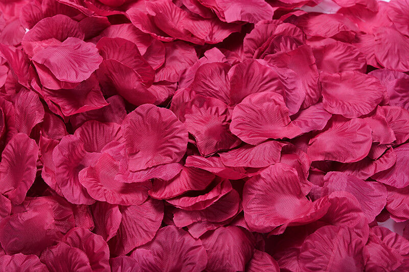 1000~5000pcs Various Colors Silk Flower Rose Petals Wedding Party Decorations