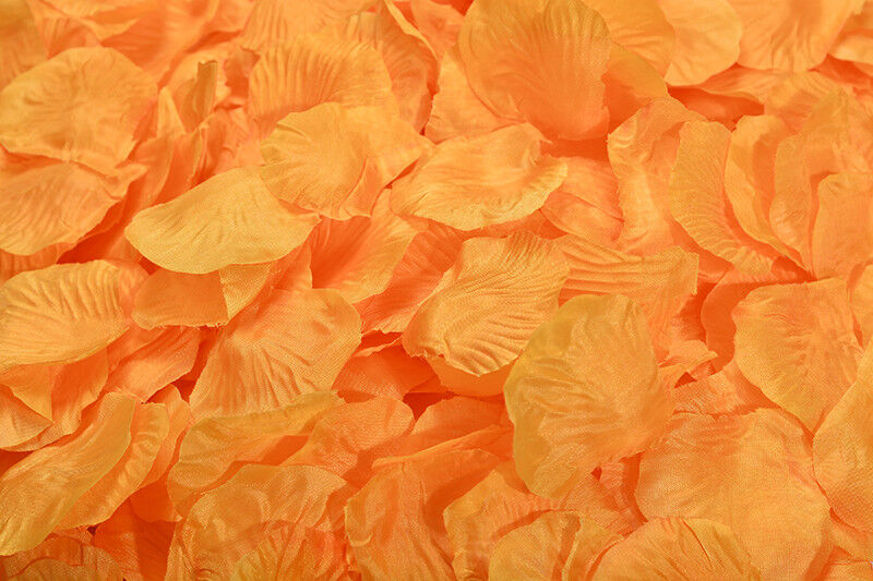 1000~5000pcs Various Colors Silk Flower Rose Petals Wedding Party Decorations