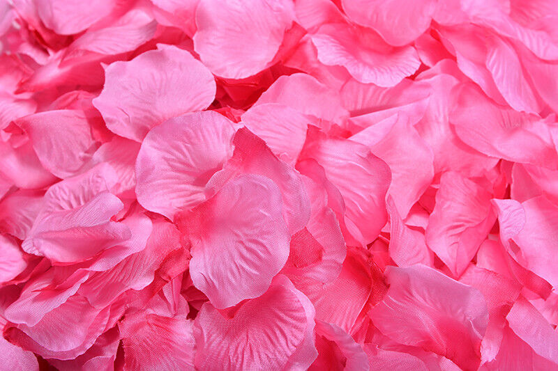 1000~5000pcs Various Colors Silk Flower Rose Petals Wedding Party Decorations