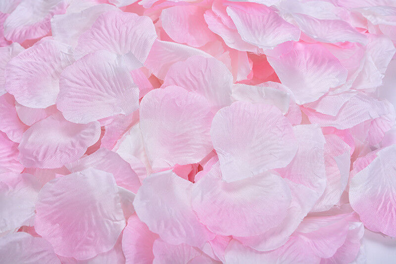 1000~5000pcs Various Colors Silk Flower Rose Petals Wedding Party Decorations