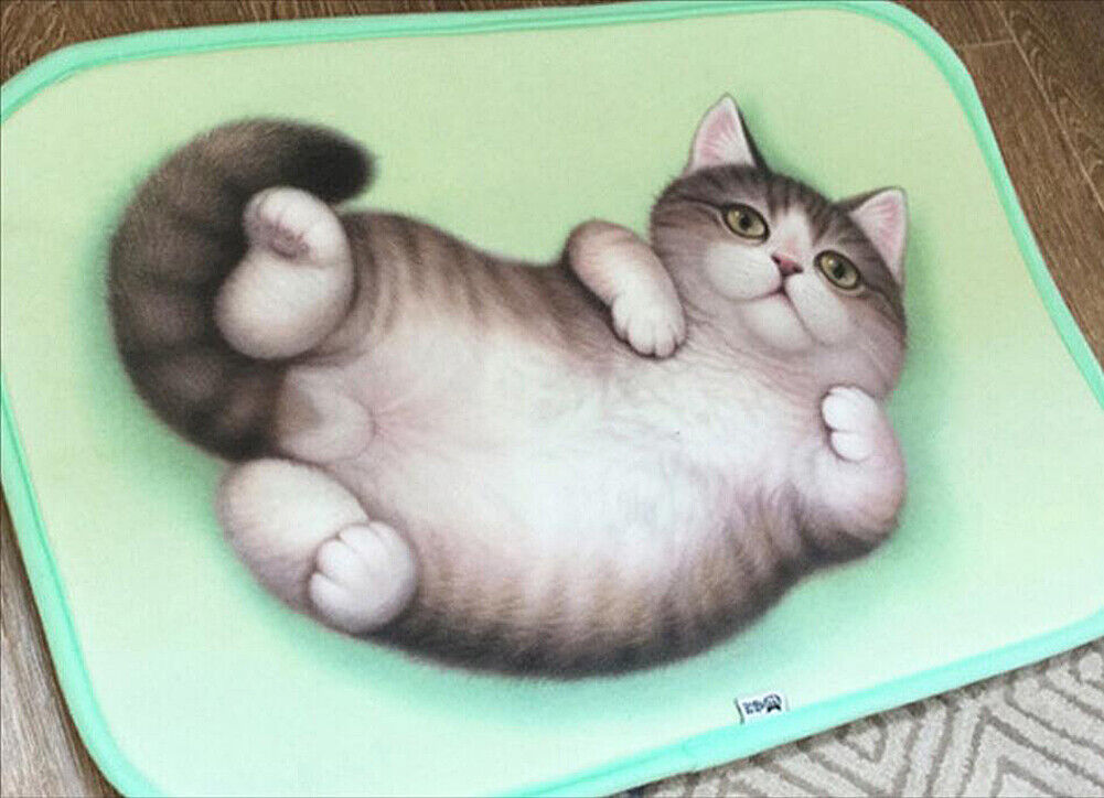 US Cat Dog Non-Slip 3D Doormat Kitchen Bathmat Bedrooms Patio Stair Carpet Mat