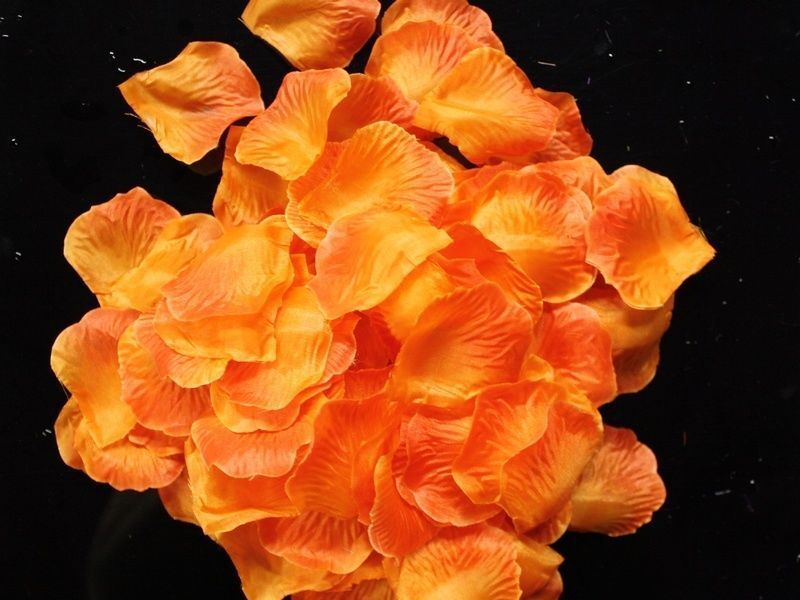 1000~5000pcs Various Colors Silk Flower Rose Petals Wedding Party Decorations