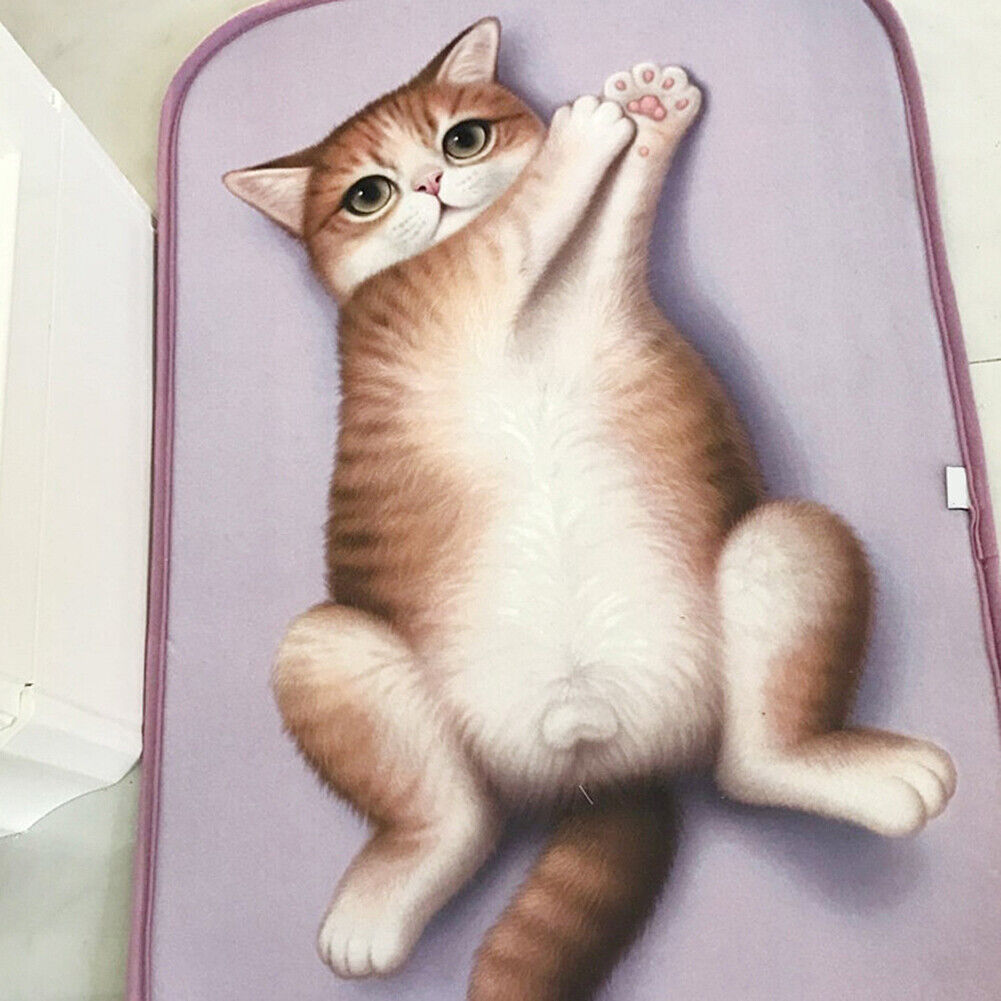 US Cat Dog Non-Slip 3D Doormat Kitchen Bathmat Bedrooms Patio Stair Carpet Mat