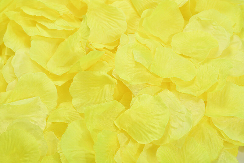 1000~5000pcs Various Colors Silk Flower Rose Petals Wedding Party Decorations