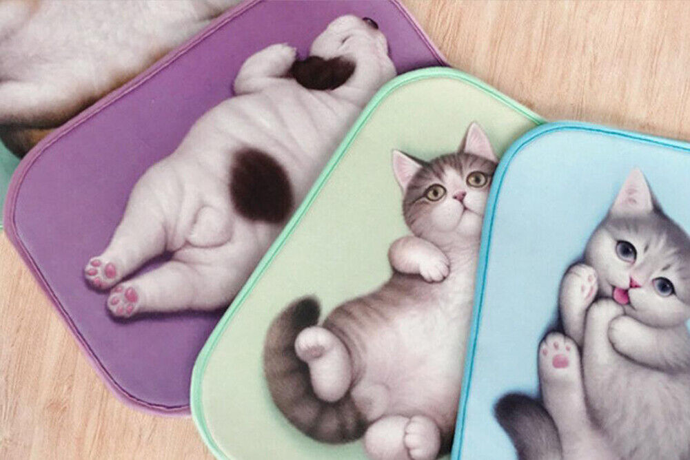 US Cat Dog Non-Slip 3D Doormat Kitchen Bathmat Bedrooms Patio Stair Carpet Mat