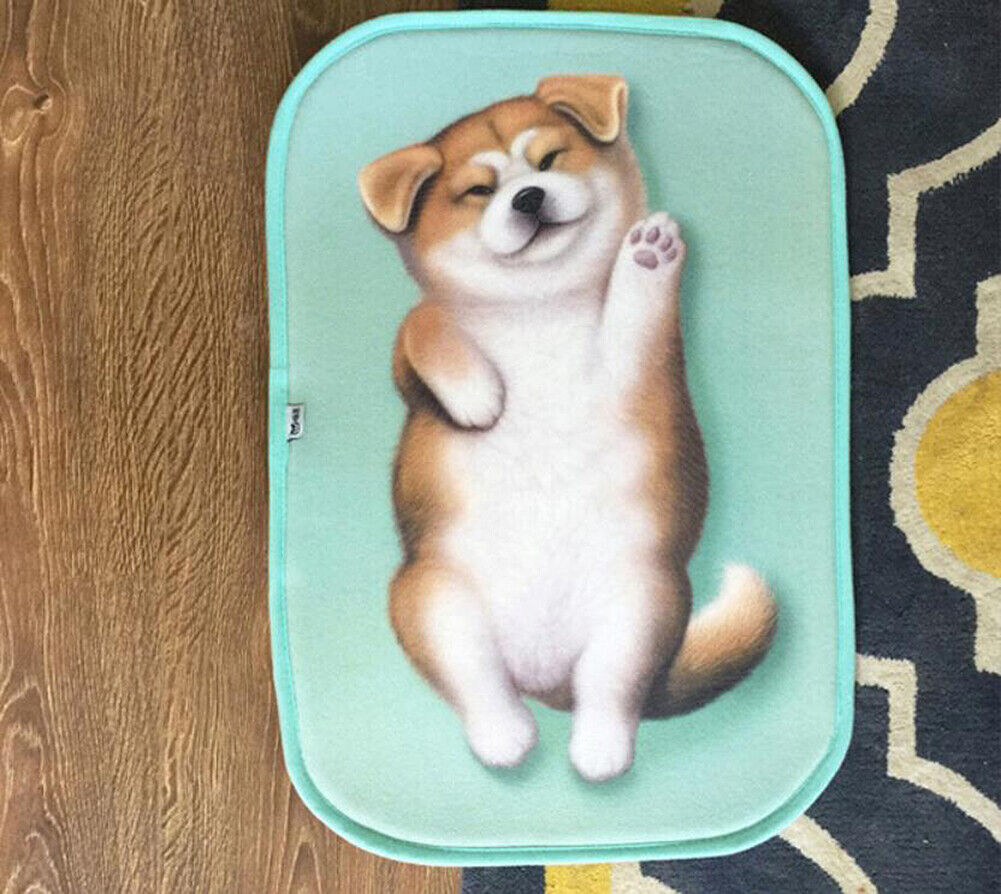 US Cat Dog Non-Slip 3D Doormat Kitchen Bathmat Bedrooms Patio Stair Carpet Mat