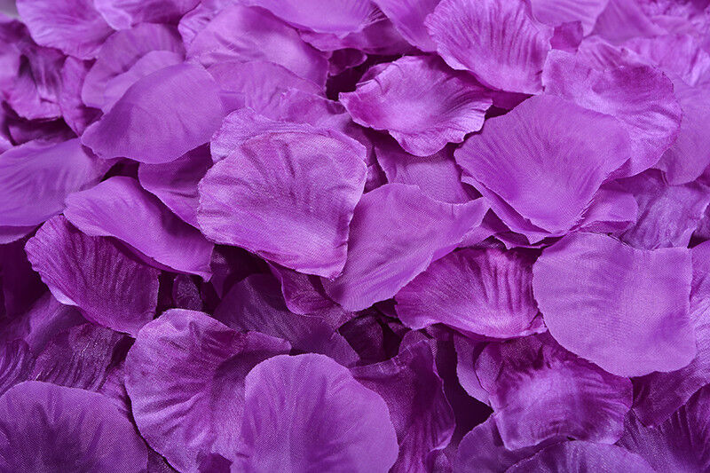 1000~5000pcs Various Colors Silk Flower Rose Petals Wedding Party Decorations