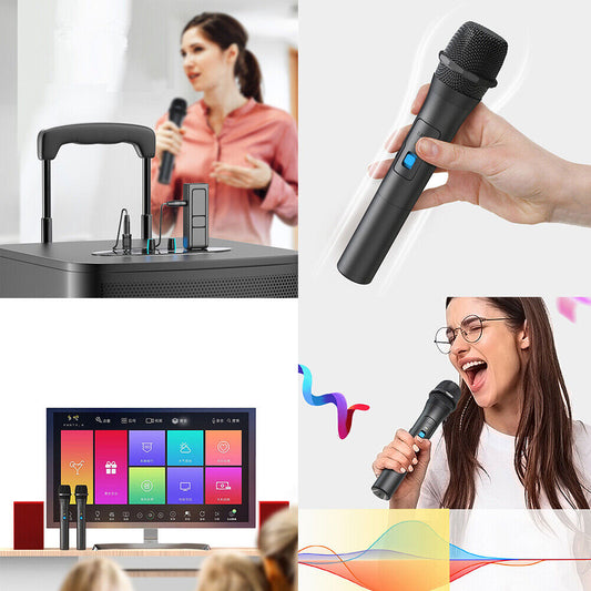 US Professional VHF Wireless Microphone Handheld Mic System Karaoke W/Receiver