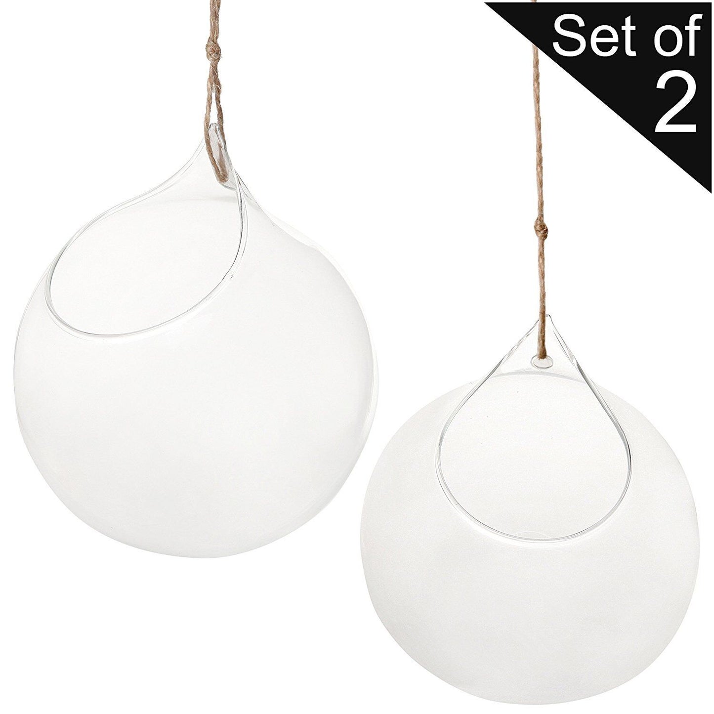 Set of 2 Decorative Clear Glass Globe / Hanging Air Plant Terrarium Planter
