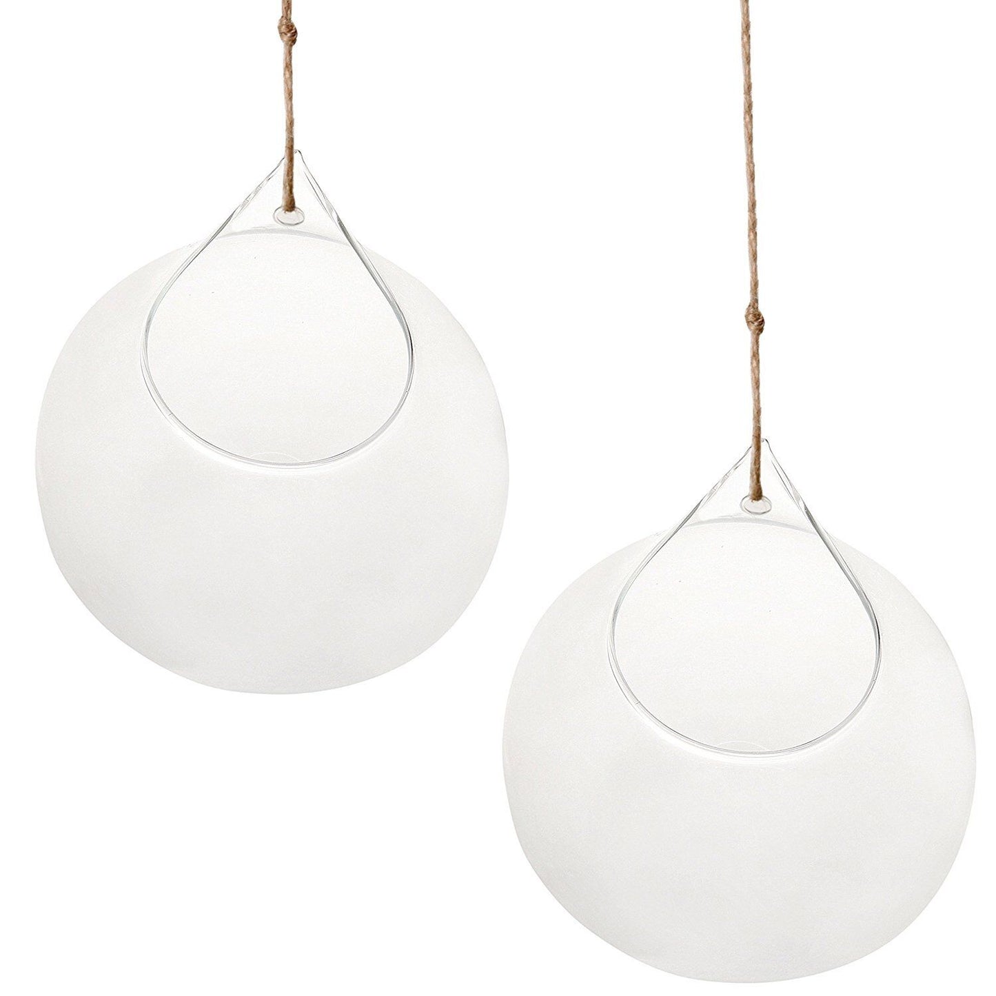 Set of 2 Decorative Clear Glass Globe / Hanging Air Plant Terrarium Planter