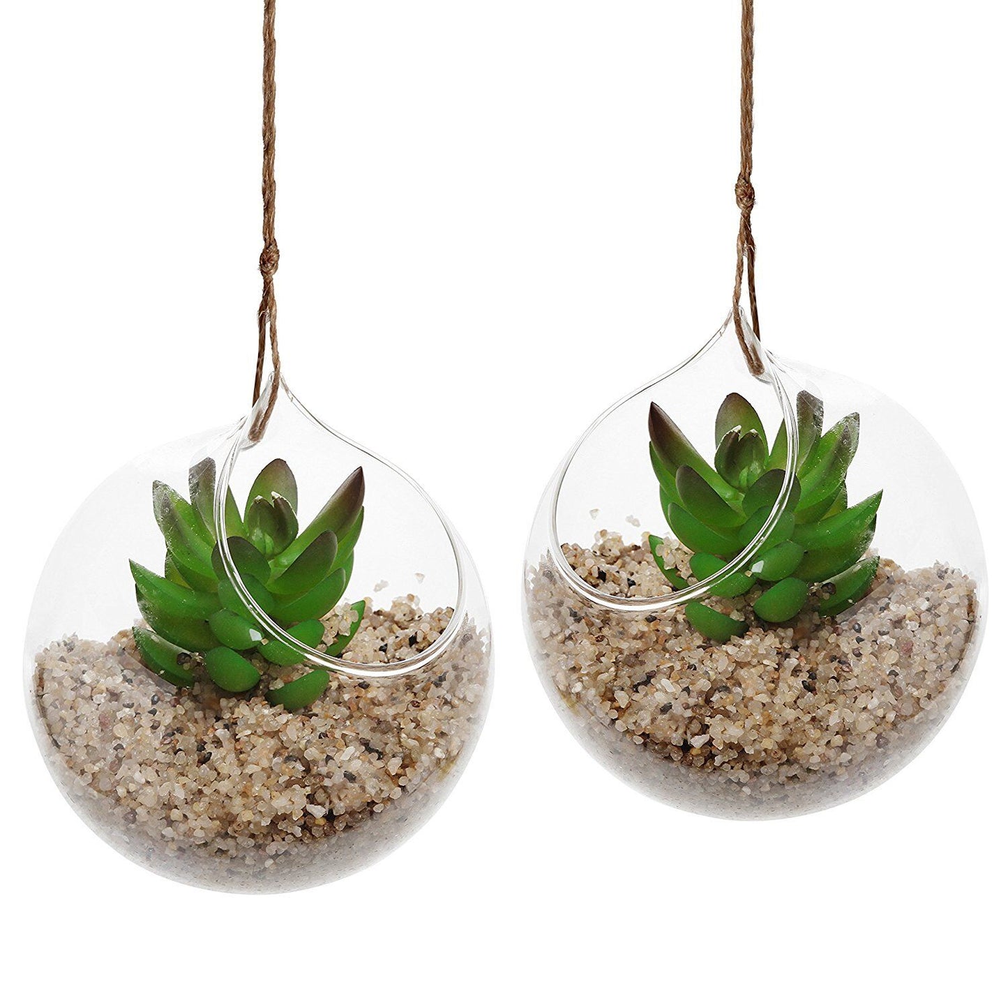 Set of 2 Decorative Clear Glass Globe / Hanging Air Plant Terrarium Planter