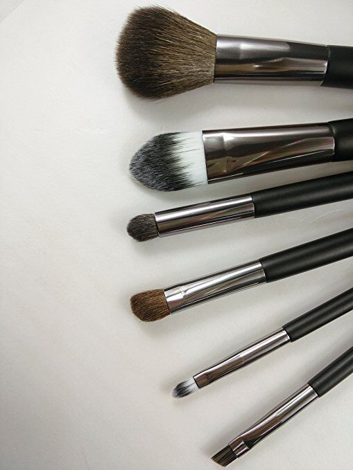 NAKE 6 pc Professional Mini Travel Makeup Goat Hair Makeup Brush Set with Bag