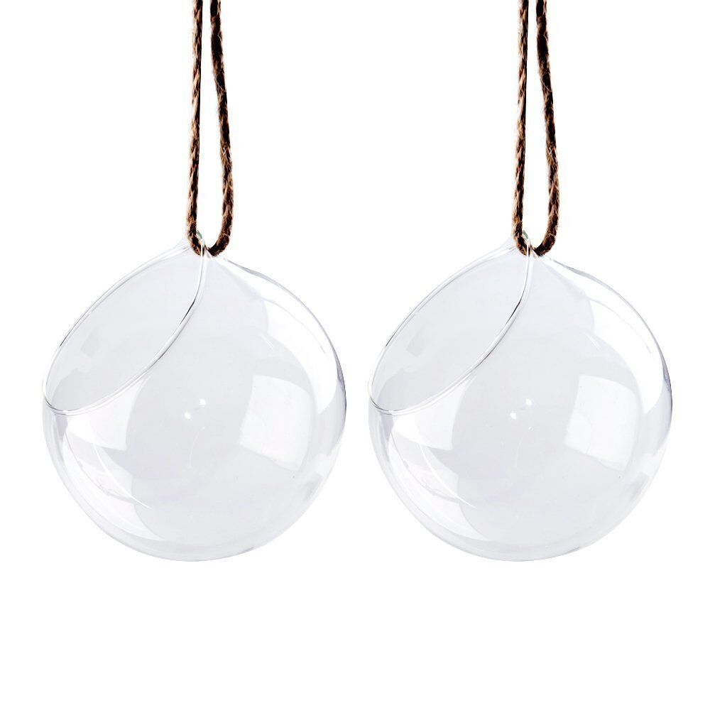 Set of 2 Decorative Clear Glass Globe / Hanging Air Plant Terrarium Planter