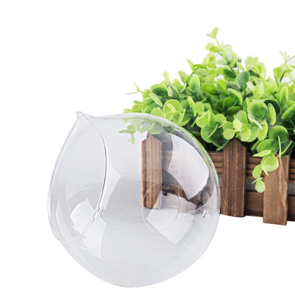 Set of 2 Decorative Clear Glass Globe / Hanging Air Plant Terrarium Planter